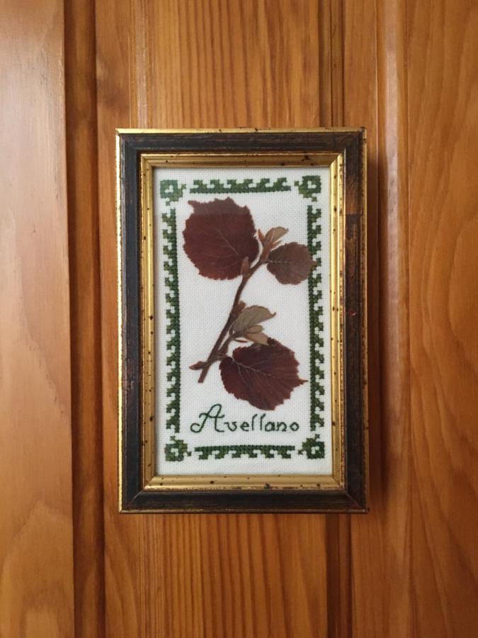 Posada El Nozal Sena Luaran gambar